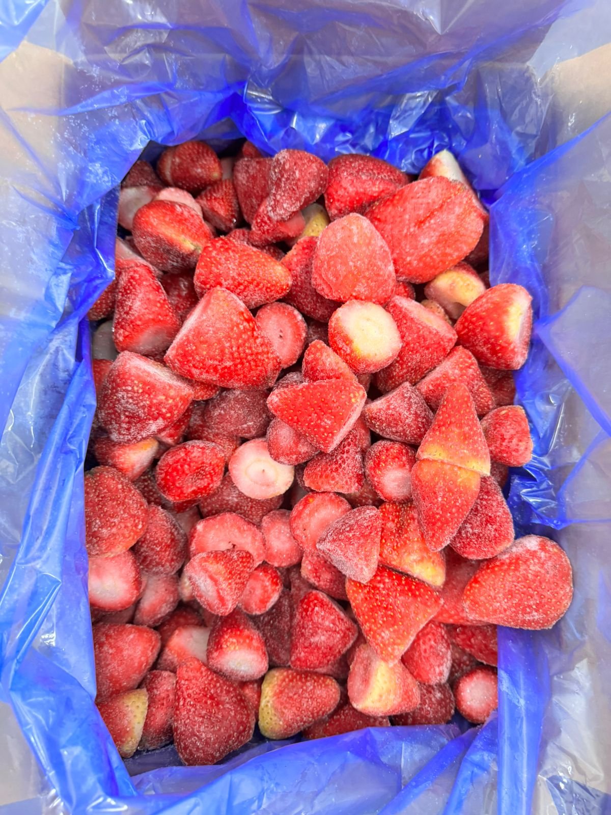 A large blue bag inside a shipping box, filled with IQF frozen strawberries.