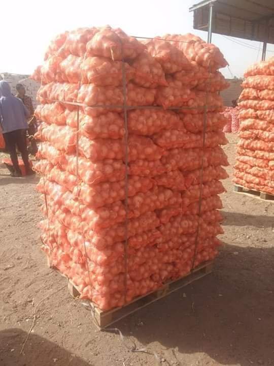 Pallets stacked high with mesh sacks of potatoes, ready for shipping.