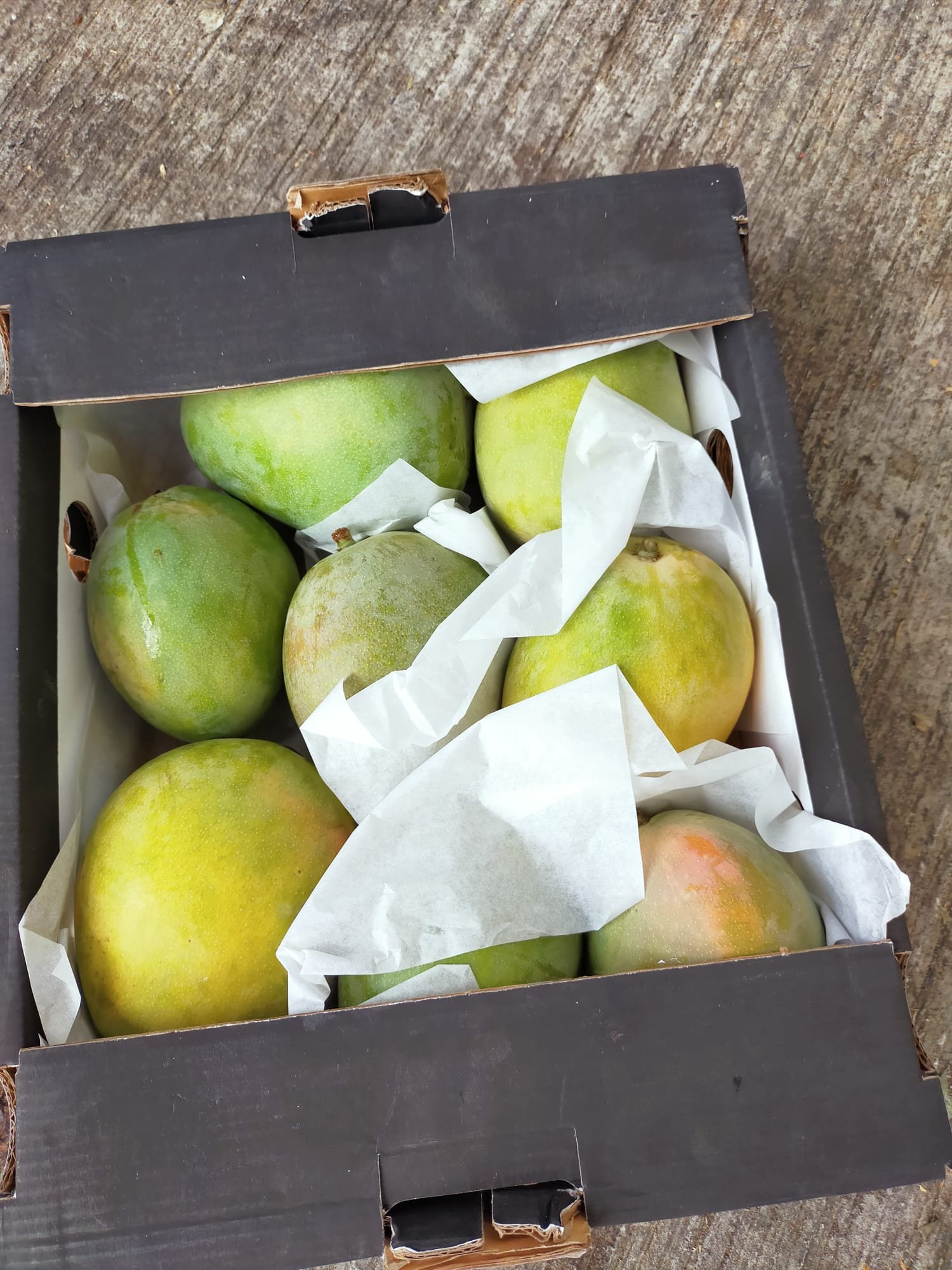 A close-up of fresh mangoes in protective wrapping inside a shipping box.