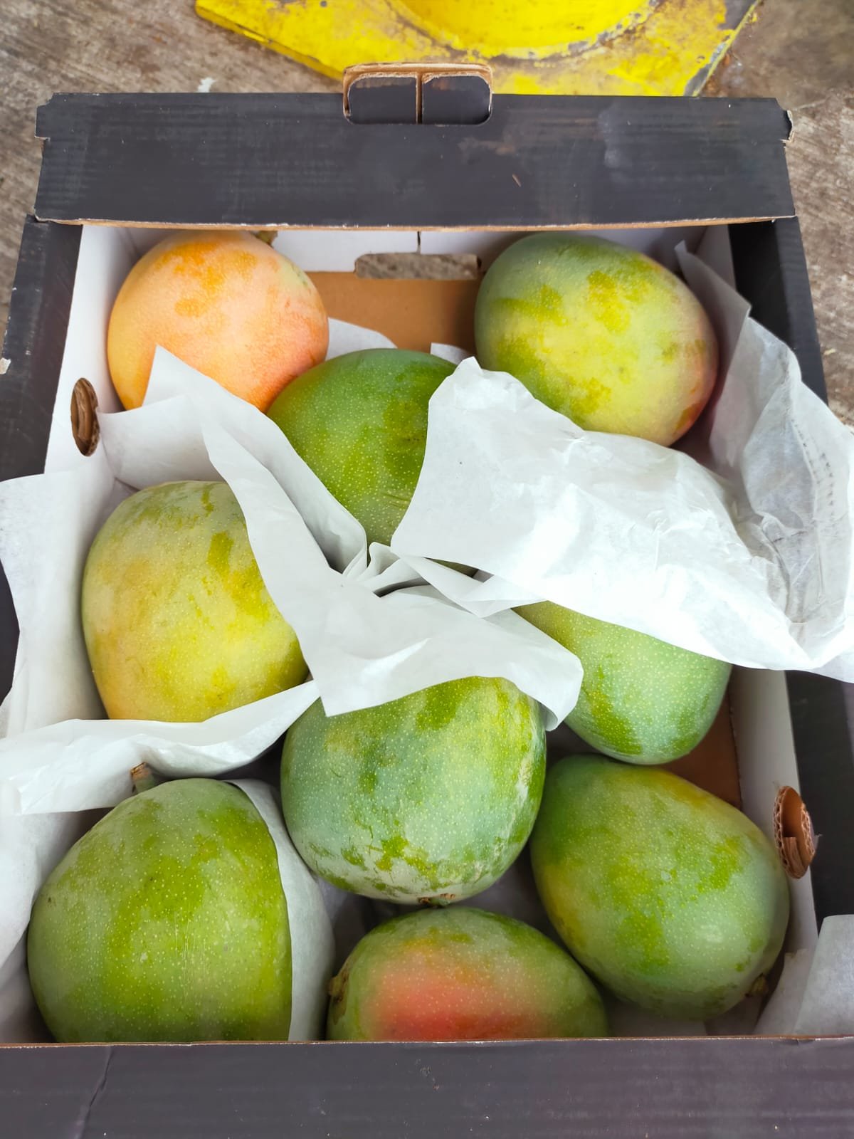 A variety of green and yellow mangoes packed for shipment.