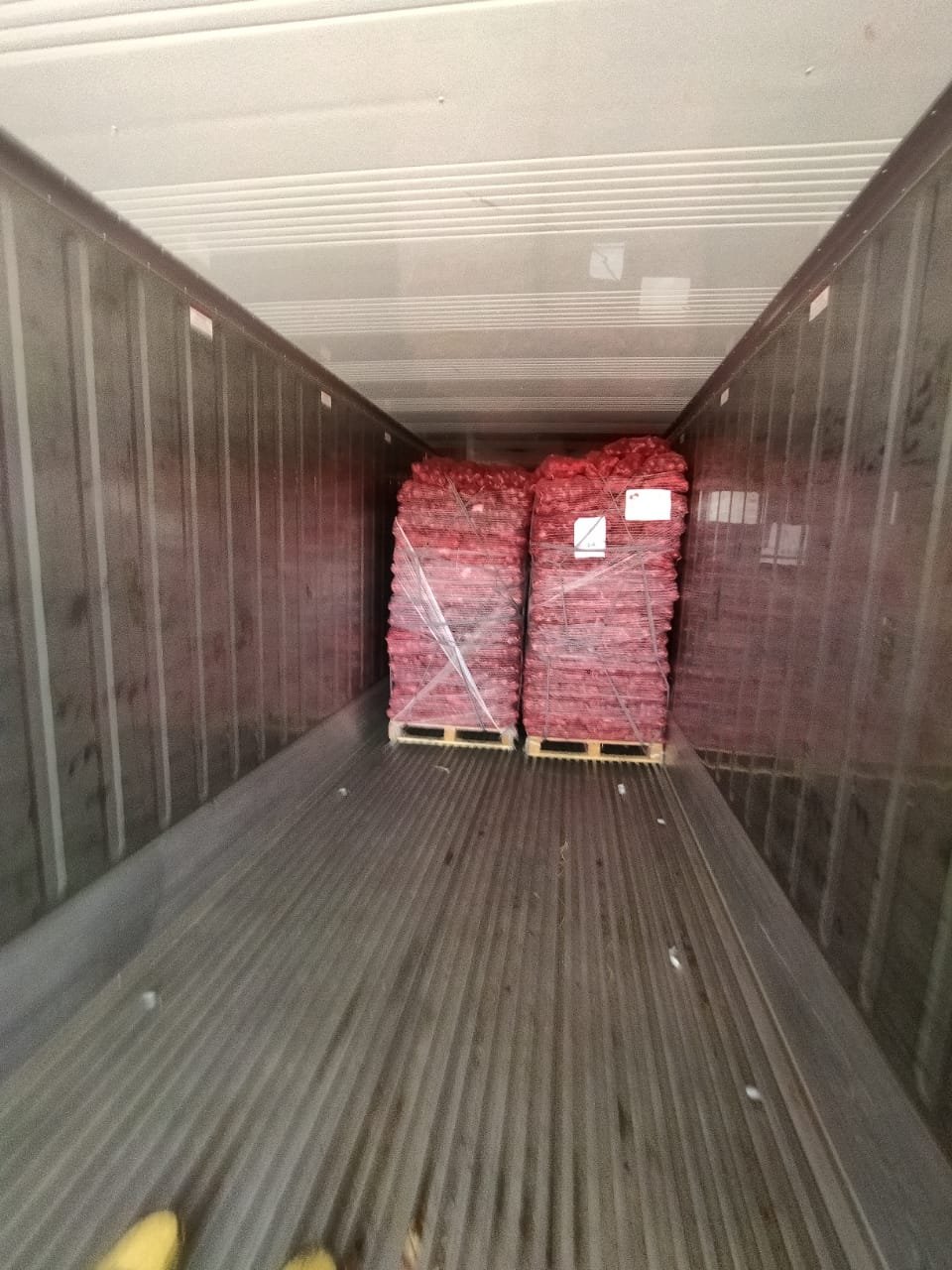 Pallets of sacked red onions being loaded into a clean reefer container for export.