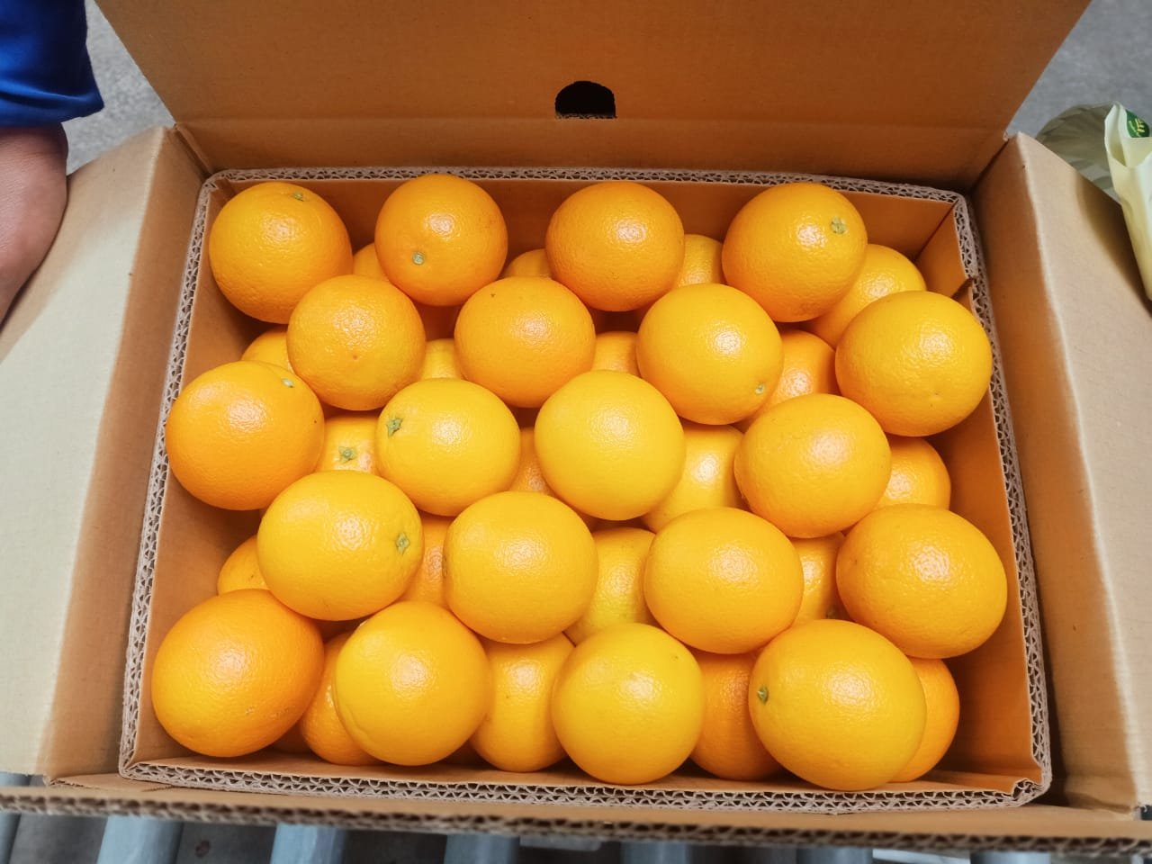 A box of fresh Egyptian oranges