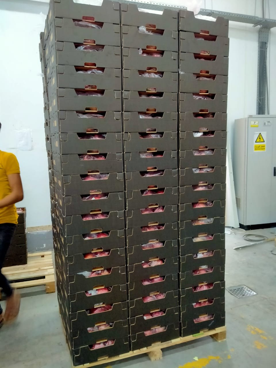 Pallets of pomegranates stacked high in a warehouse, ready for shipment.