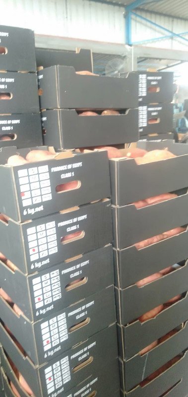 Pallets of sweet potatoes stacked in a warehouse, showing readiness for large volume orders.
